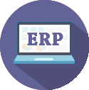 Business Software and ERP Implementation Services